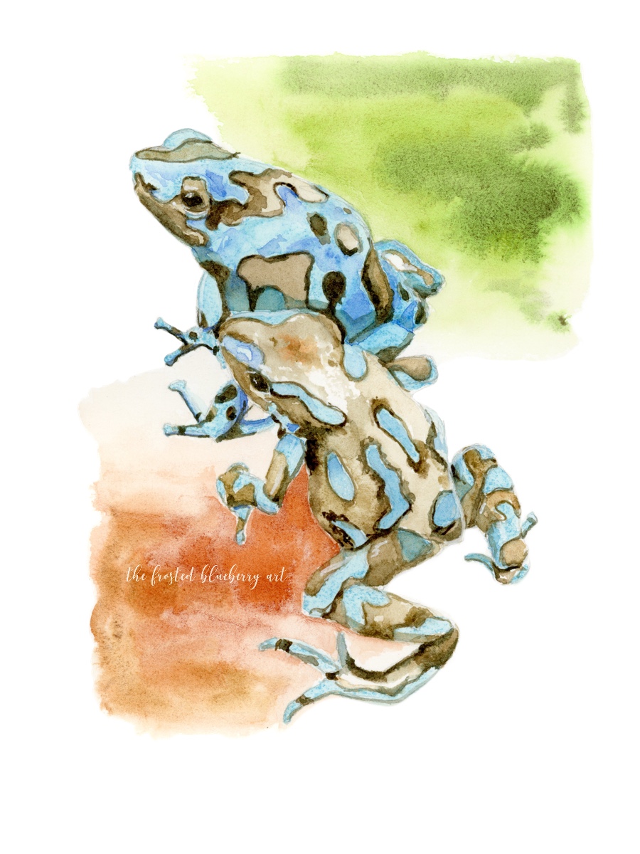 Watercolour painting of two highly coloured frogs in tigers eye genuine and a mix of fuschite and cerulean blue chromium