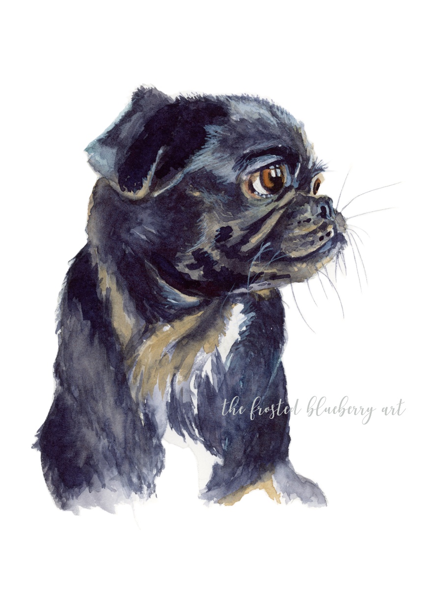 Watercolour of a little black pug