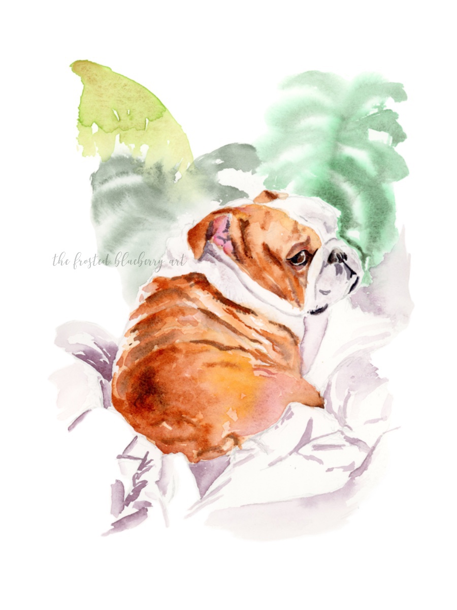 Watercolour of a chubby bulldog sat with his head looking back over his shoulder on soft white linens with a hazy background of monstera leaves