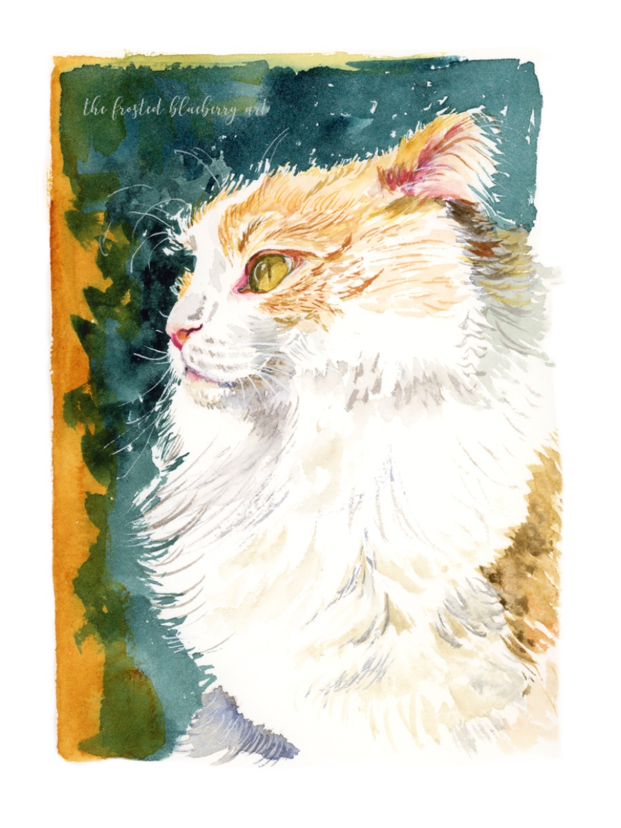 Watercolour of a very fluffy white and orange cat with greeny yellow eyes