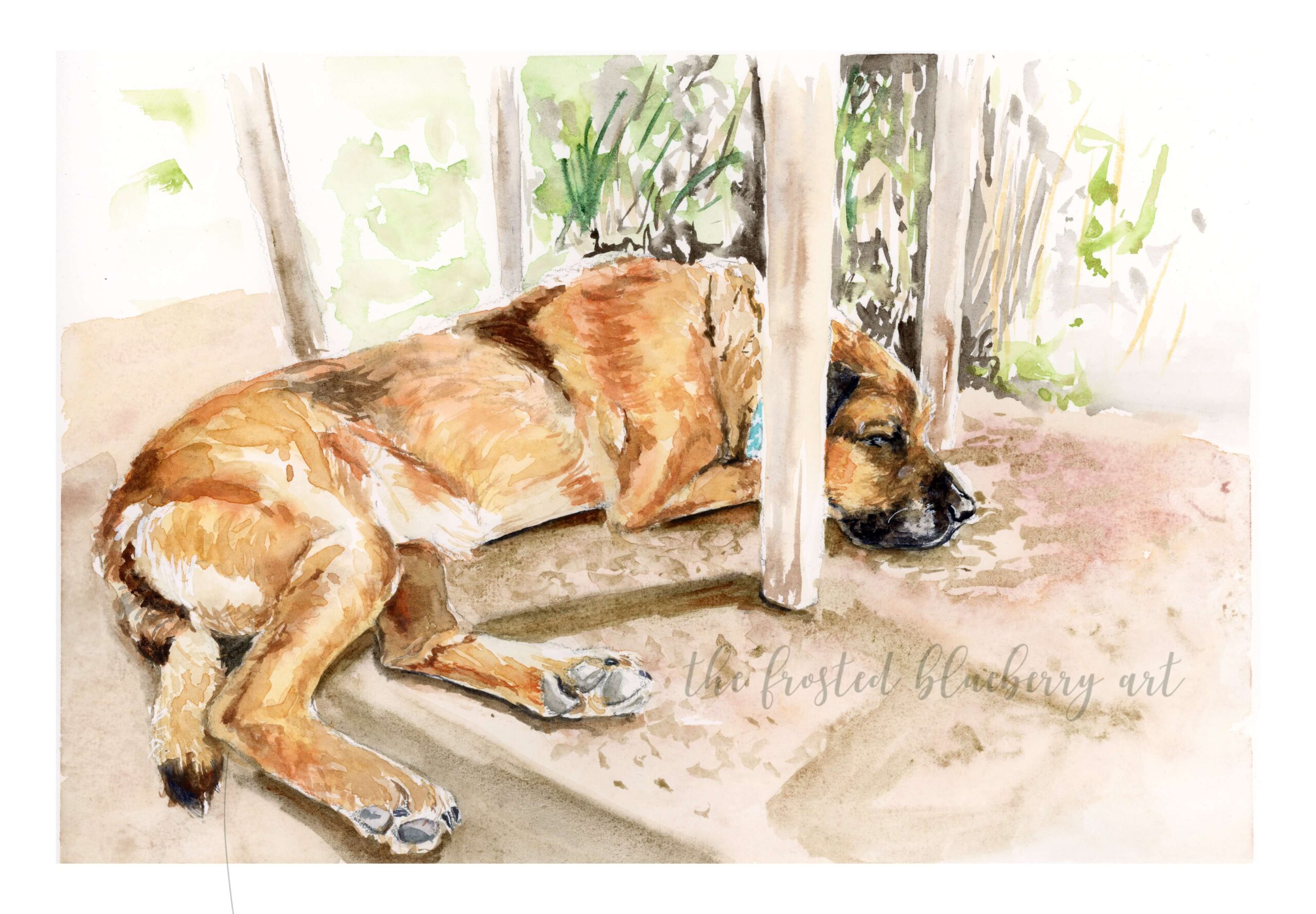Watercolour painting of a large golden brown dog asleep in the sun under a table outdoors.