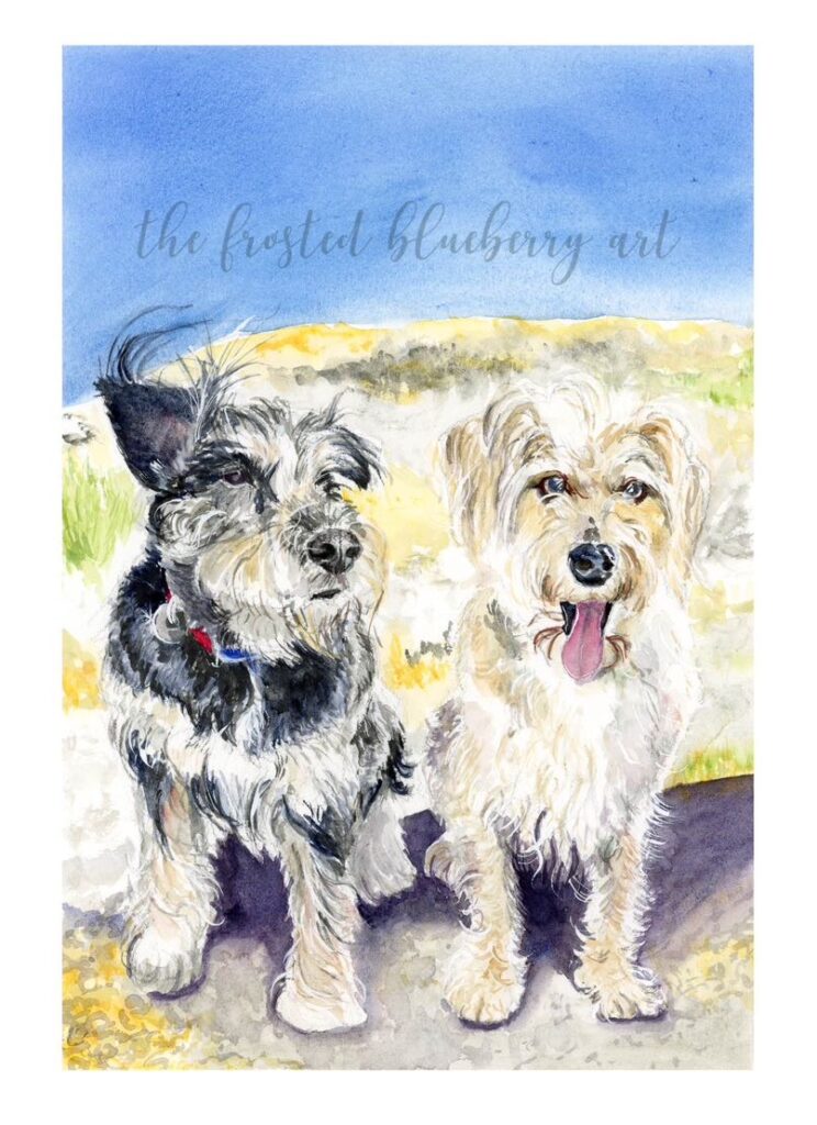Watercolour of two scruffy border terriers, one black and light brown, the other creamy beige, sat on a sand dune. 