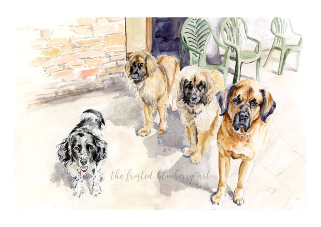 Watercolour painting of a black and white spaniel and three caramel coloured long haired, large dogs with dark faces standing on a large stone porch in front of garden chairs