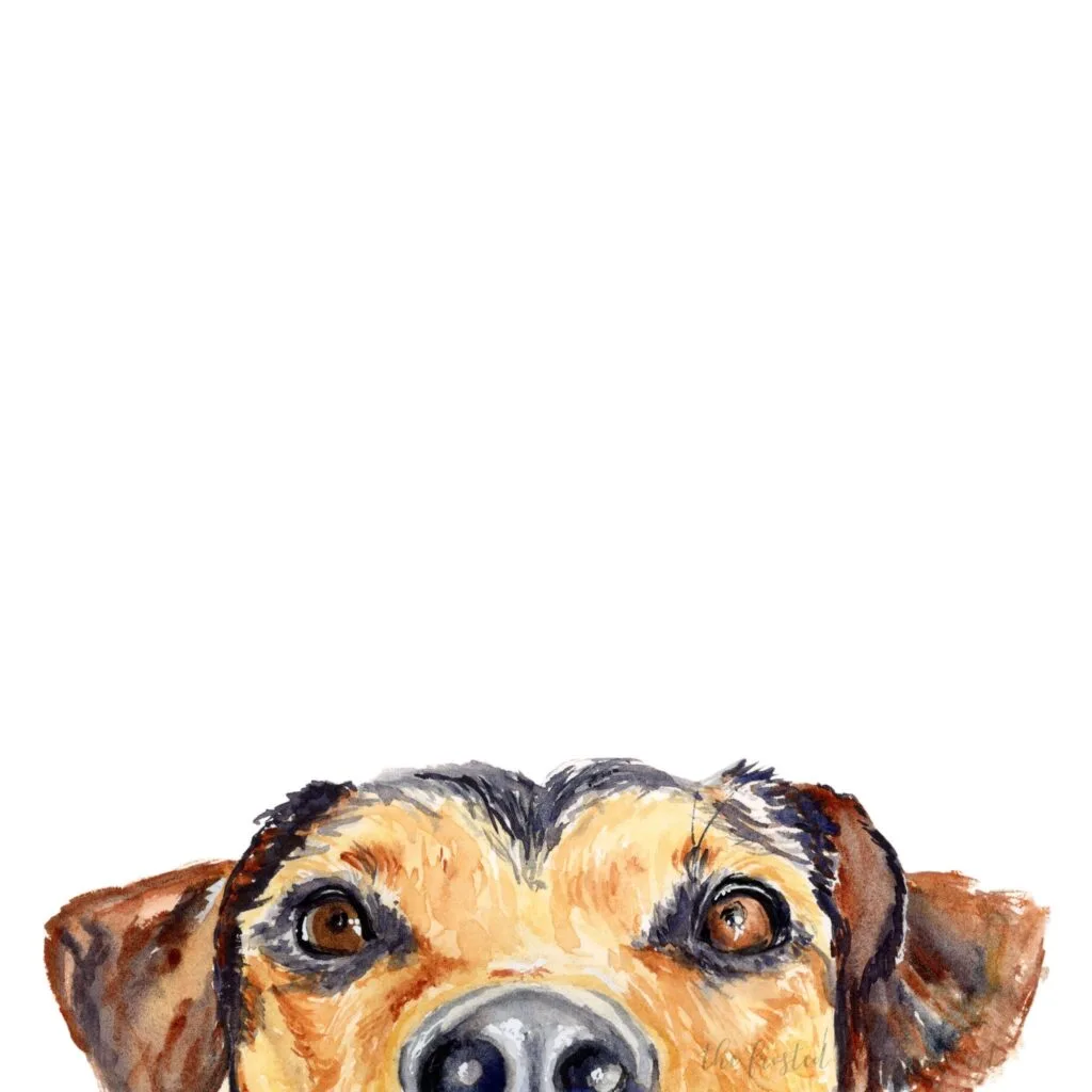 Small black and brown dog peeking up over the bottom edge of the framing. 