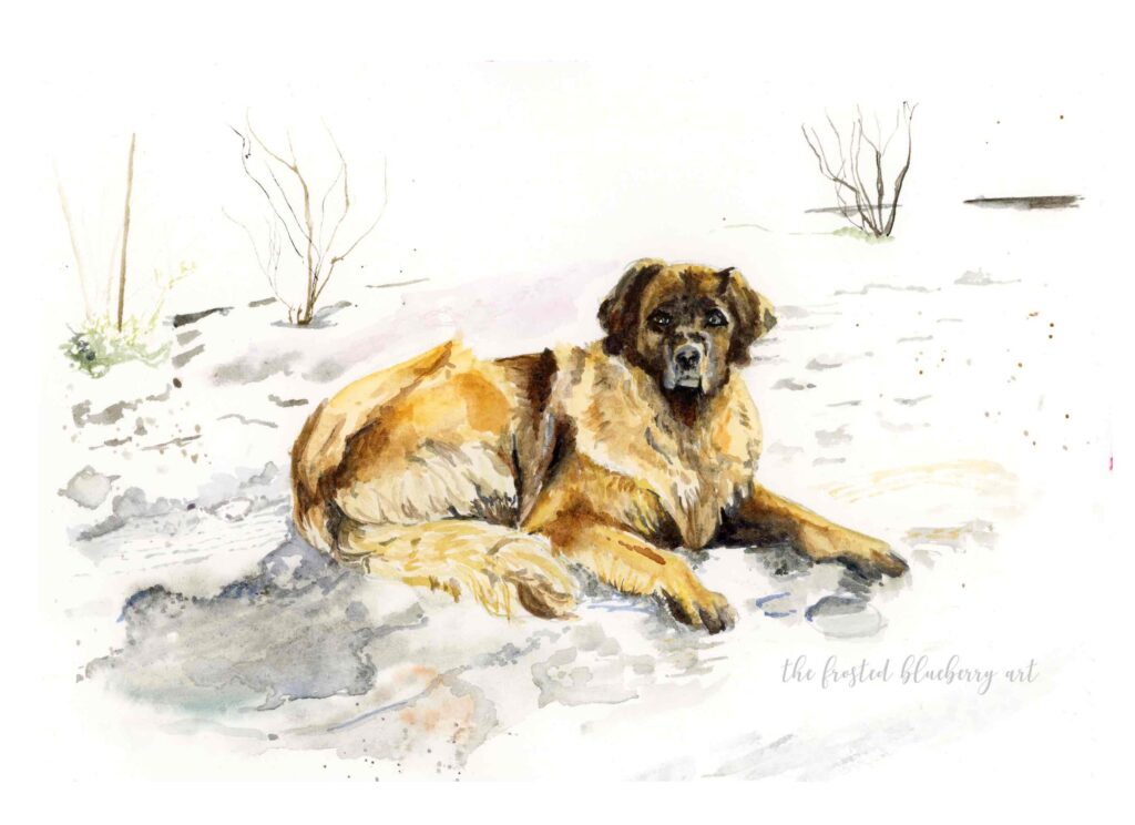 Watercolour painting of a caramel coloured long haired dog with a dark face sat on an icy, snowy road. 