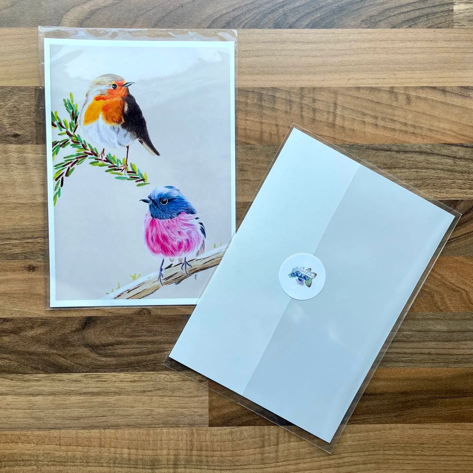 Coloured pencil European robin sat on an evergreen branch and an Australian robin sat on a bare branch