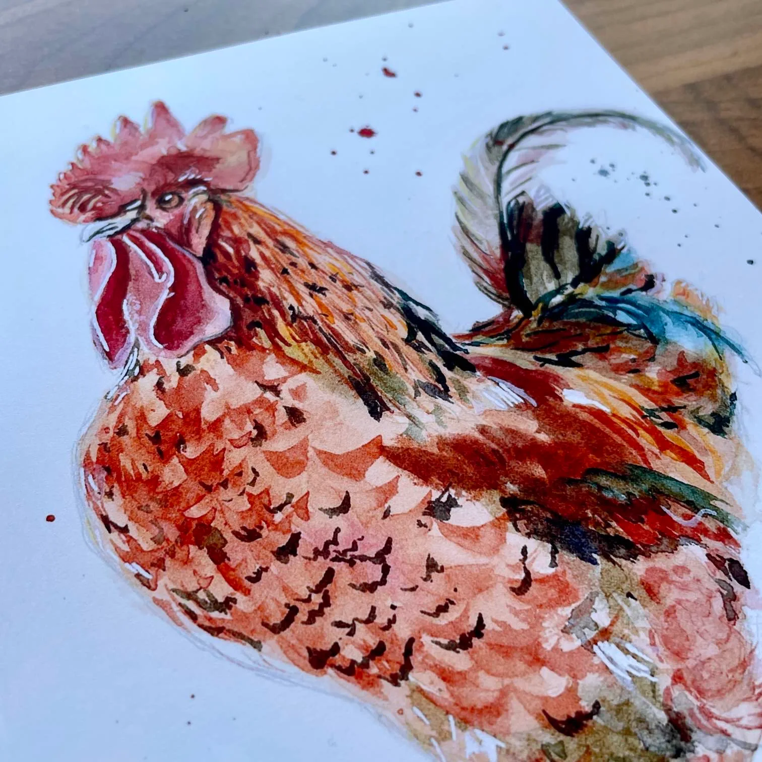 Watercolour painting of a rooster standing in long grass