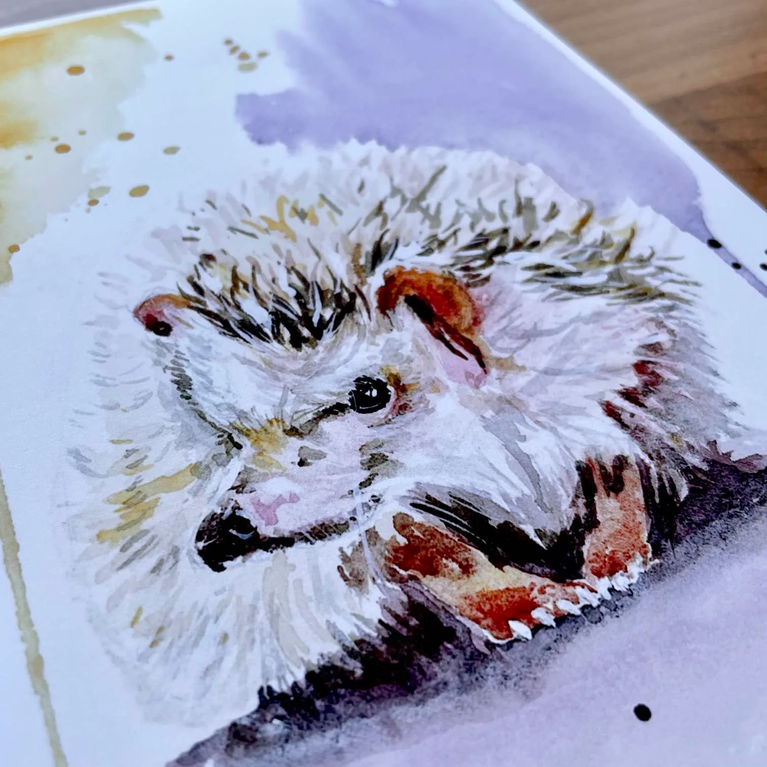 Watercolour painting of a hedgehog with playful yellow and purple paint splashes