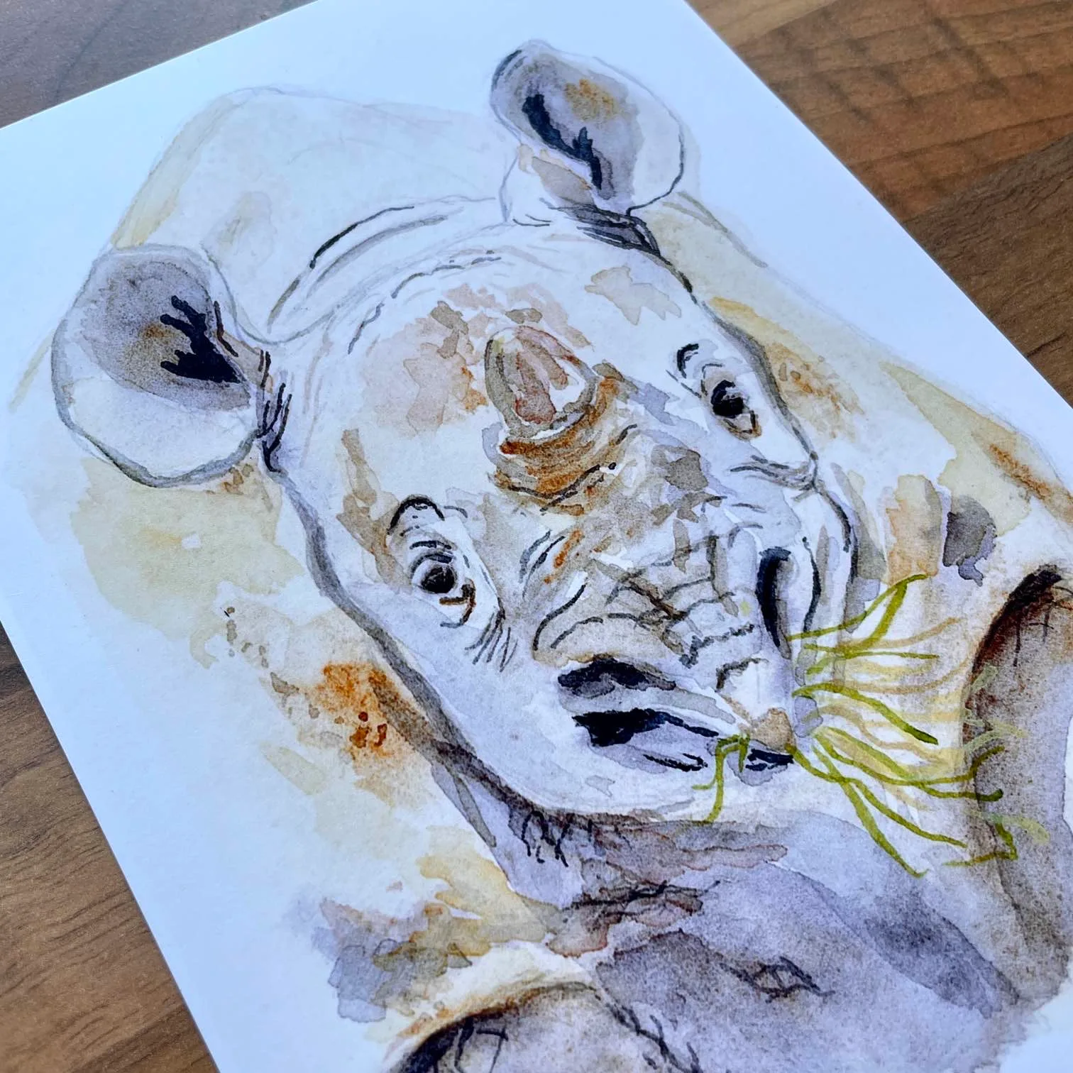 Watercolour painting of a rhino munching long grass