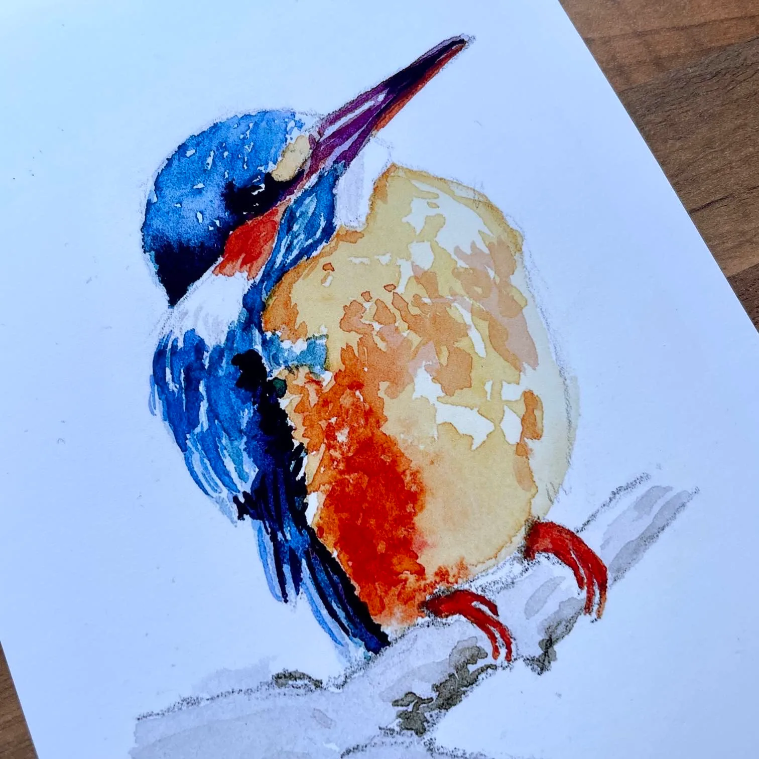 Watercolour painting of a kingfisher sat on a branch