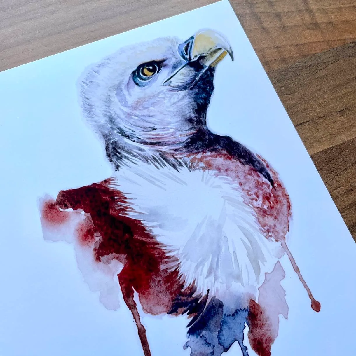 Watercolour painting of an American eagle's head with watercolour drip effect