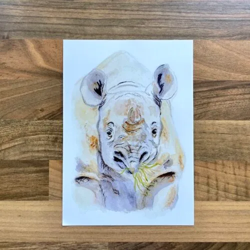 Watercolour painting of a rhino munching long grass