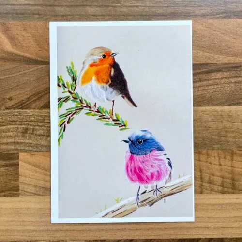 Coloured pencil European robin sat on an evergreen branch and an Australian robin sat on a bare branch