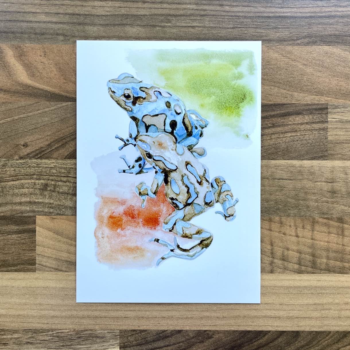 Watercolour painting of two poison dart frogs