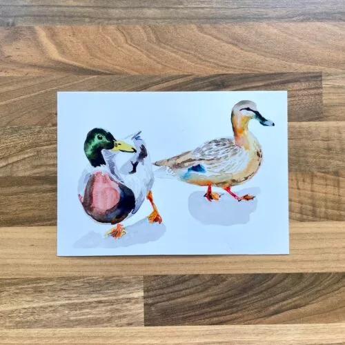 Watercolour painting of a pair of male and female mallard ducks