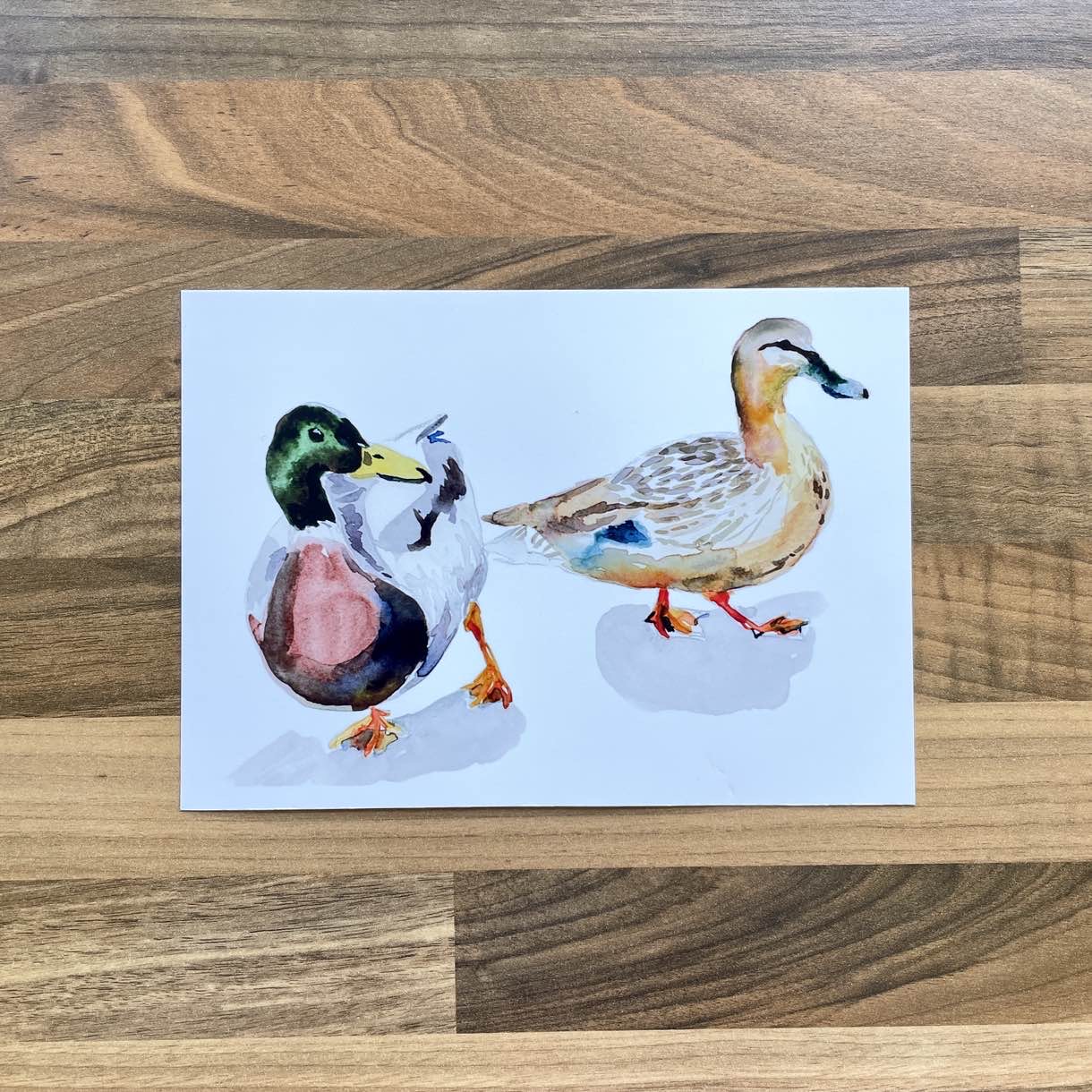 Watercolour painting of a pair of male and female mallard ducks