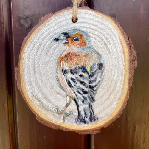 Watercolour bullfinch on a small wooden slice with twine to hang it up with