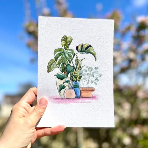 Original watercolour painting of a monstera and accompanying plants
