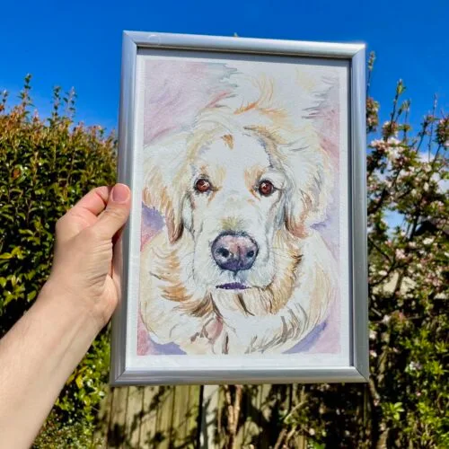 Original watercolour of a golden retriever sold in a silver grey frame